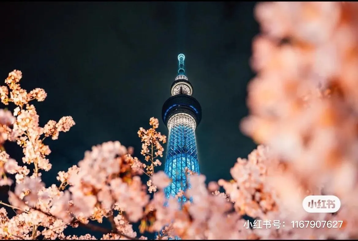 Guest house Sky House晴空塔家庭或团队套房 Hotel Tokyo Japan
