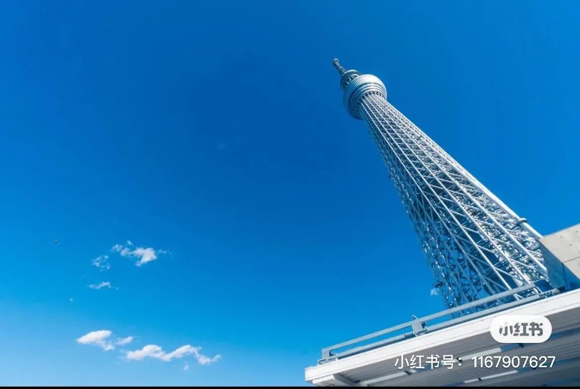 Sky House晴空塔家庭或团队套房 Hotel Tokyo