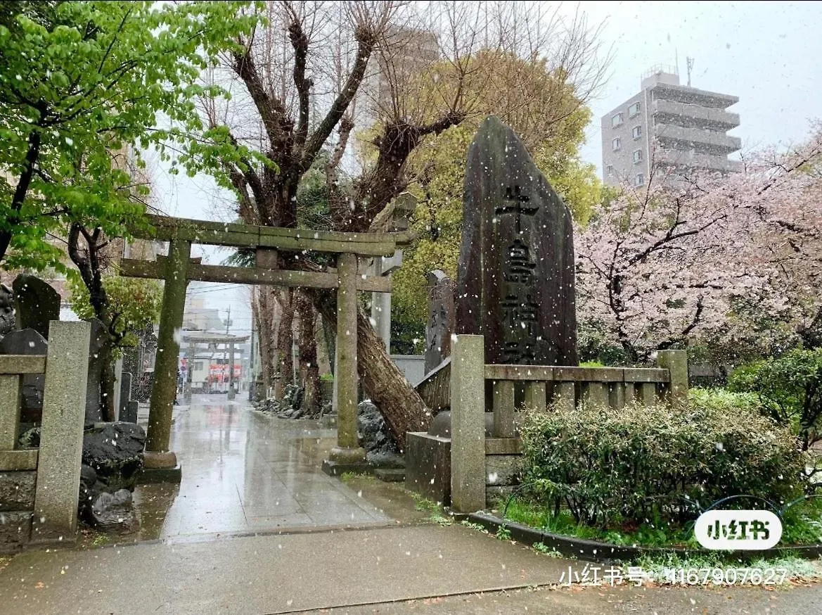 Sky House晴空塔家庭或团队套房 Hotel Tokyo Japan