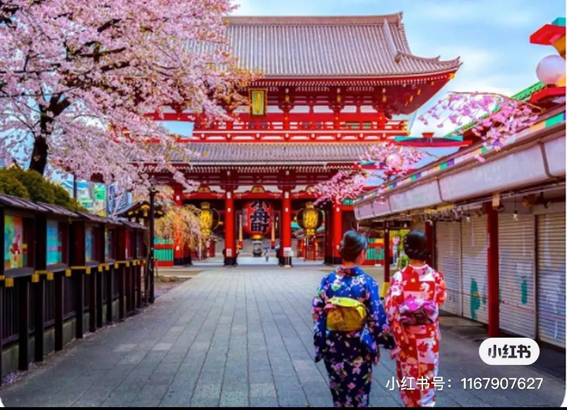 Sky House晴空塔家庭或团队套房 Hotel Tokyo 0*,  Japan