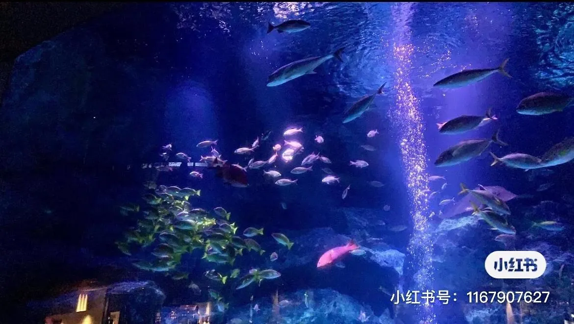 Casa de hóspedes Sky House晴空塔家庭或团队套房 Hotel Tóquio